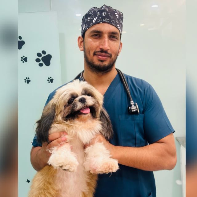 Vet Plus Clinic Specialized Services